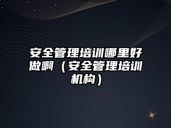 安全管理培訓哪里好做?。ò踩芾砼嘤枡C構）