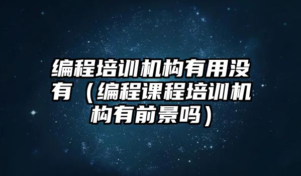 編程培訓機構有用沒有（編程課程培訓機構有前景嗎）