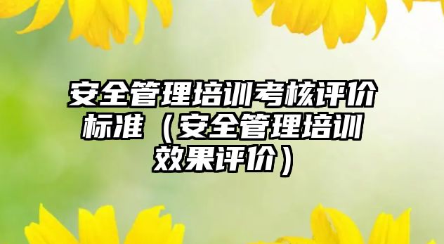 安全管理培訓考核評價標準（安全管理培訓效果評價）