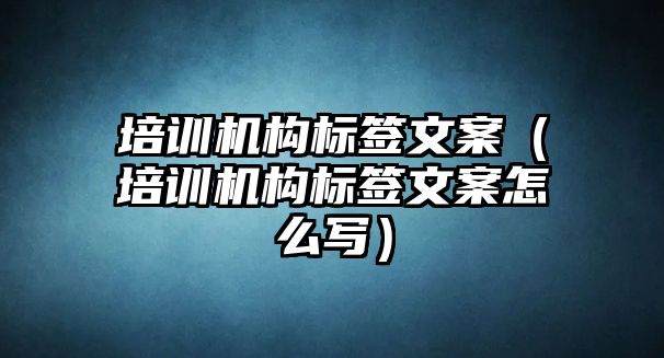 培訓機構標簽文案（培訓機構標簽文案怎么寫）