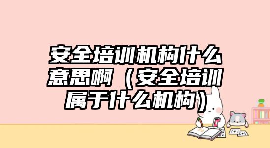 安全培訓(xùn)機(jī)構(gòu)什么意思啊（安全培訓(xùn)屬于什么機(jī)構(gòu)）