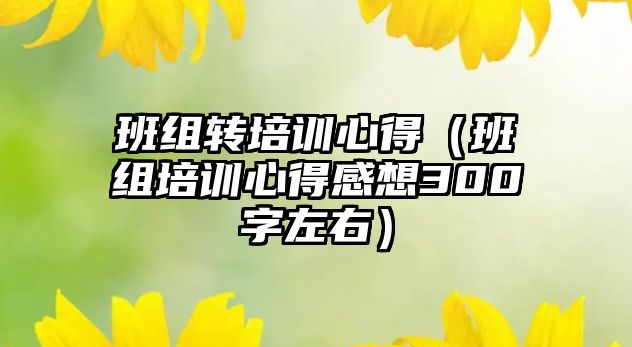 班組轉培訓心得（班組培訓心得感想300字左右）