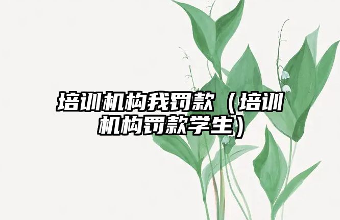 培訓(xùn)機構(gòu)我罰款（培訓(xùn)機構(gòu)罰款學(xué)生）