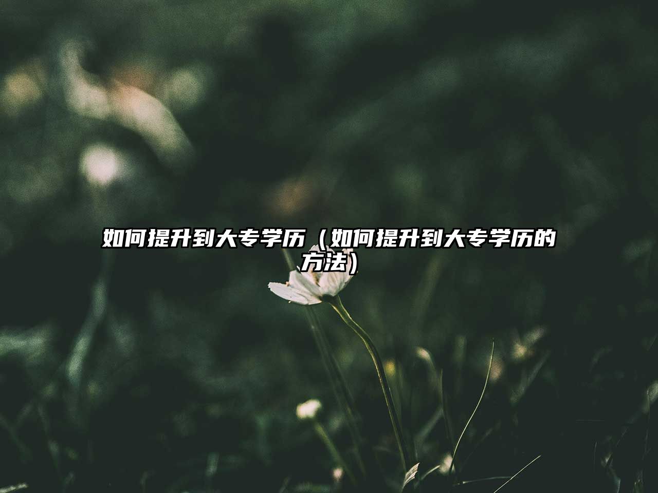 如何提升到大專學歷（如何提升到大專學歷的方法）