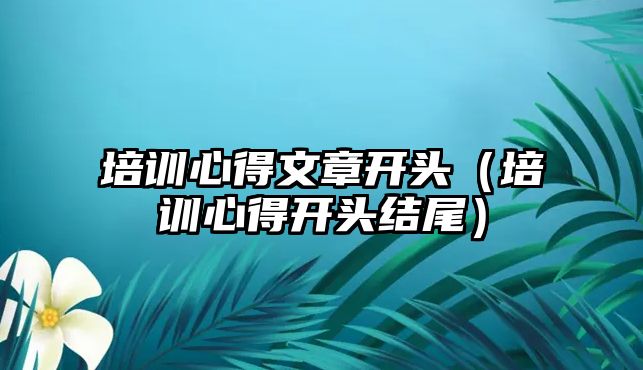 培訓心得文章開頭（培訓心得開頭結尾）