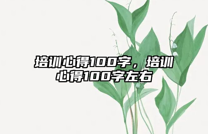 培訓(xùn)心得100字，培訓(xùn)心得100字左右