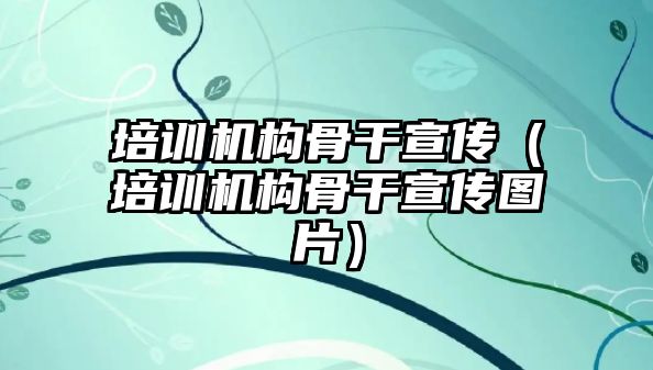 培訓機構骨干宣傳（培訓機構骨干宣傳圖片）