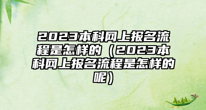 2023本科網(wǎng)上報(bào)名流程是怎樣的（2023本科網(wǎng)上報(bào)名流程是怎樣的呢）