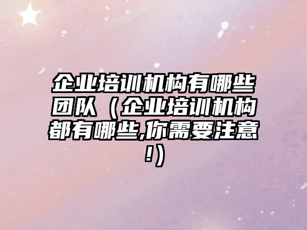 企業培訓機構有哪些團隊（企業培訓機構都有哪些,你需要注意!）