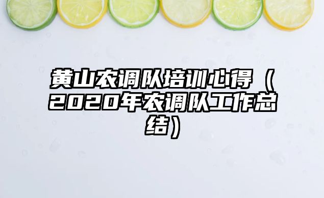 黃山農調隊培訓心得（2020年農調隊工作總結）