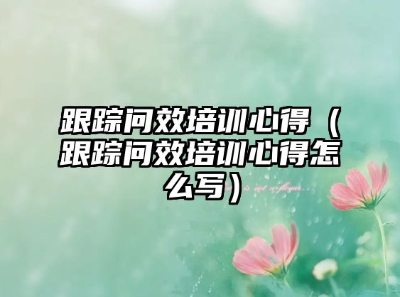 跟蹤問效培訓心得（跟蹤問效培訓心得怎么寫）