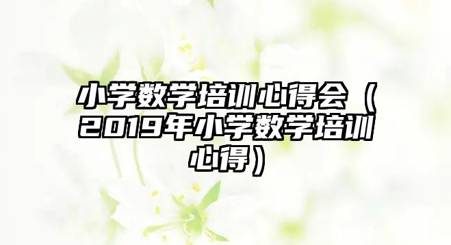 小學數學培訓心得會（2019年小學數學培訓心得）