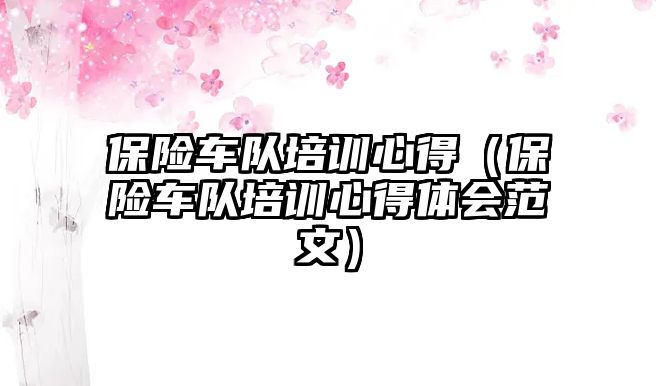 保險車隊培訓心得（保險車隊培訓心得體會范文）