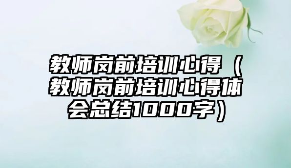 教師崗前培訓心得（教師崗前培訓心得體會總結1000字）