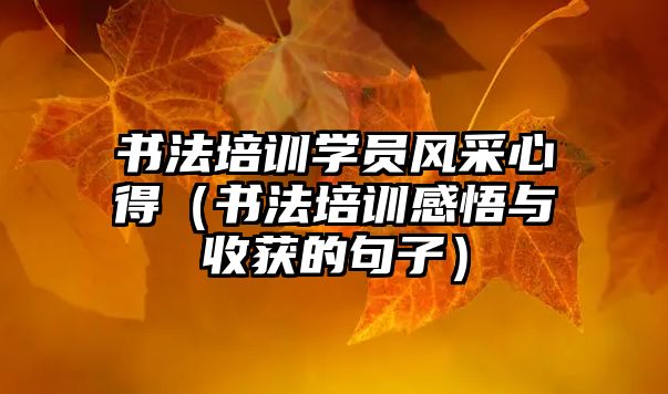 書法培訓學員風采心得（書法培訓感悟與收獲的句子）