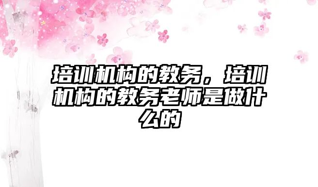 培訓機構的教務，培訓機構的教務老師是做什么的