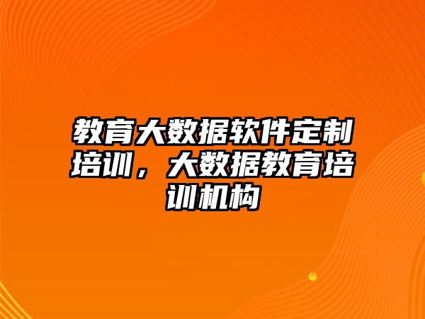 教育大數據軟件定制培訓，大數據教育培訓機構