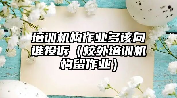 培訓機構作業多該向誰投訴（校外培訓機構留作業）