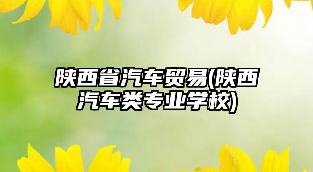 陜西省汽車貿易(陜西汽車類專業學校)