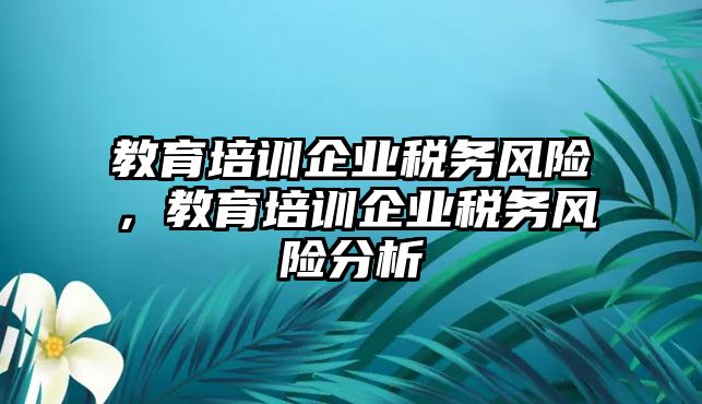 教育培訓企業稅務風險，教育培訓企業稅務風險分析