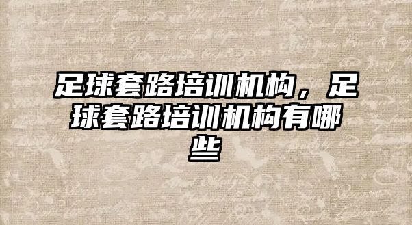 足球套路培訓機構，足球套路培訓機構有哪些