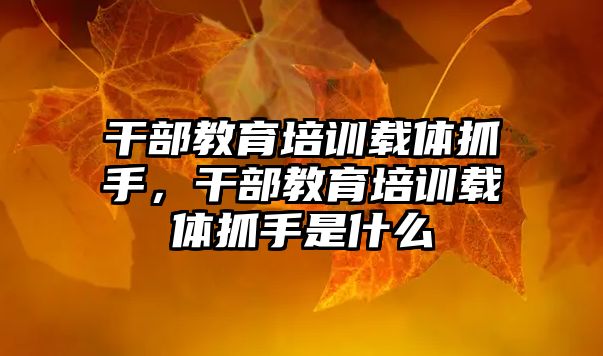 干部教育培訓載體抓手，干部教育培訓載體抓手是什么