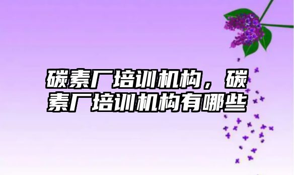 碳素廠培訓機構，碳素廠培訓機構有哪些