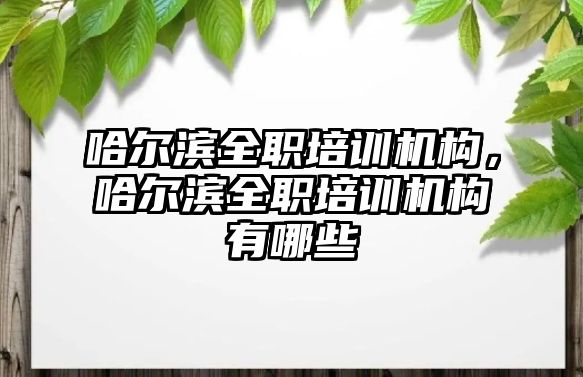 哈爾濱全職培訓機構，哈爾濱全職培訓機構有哪些