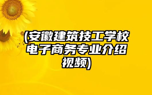 (安徽建筑技工學(xué)校電子商務(wù)專業(yè)介紹視頻)