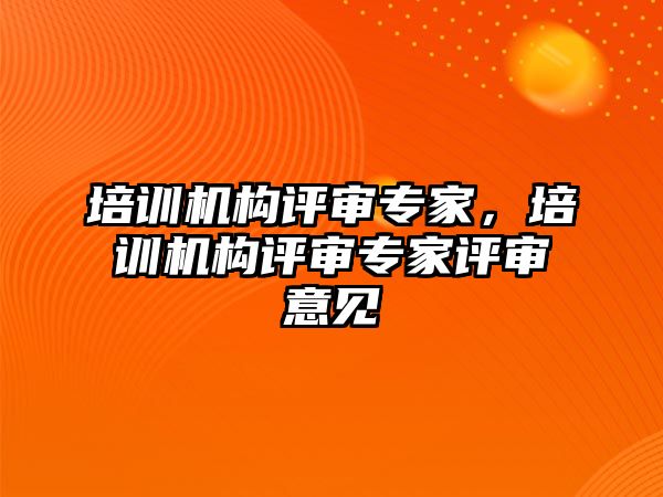 培訓機構評審專家，培訓機構評審專家評審意見