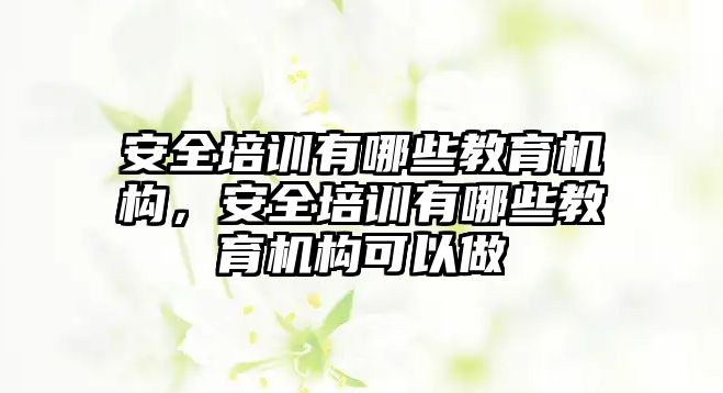 安全培訓有哪些教育機構，安全培訓有哪些教育機構可以做