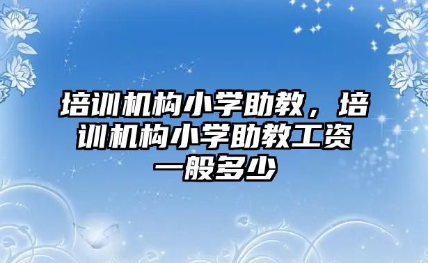 培訓機構小學助教，培訓機構小學助教工資一般多少