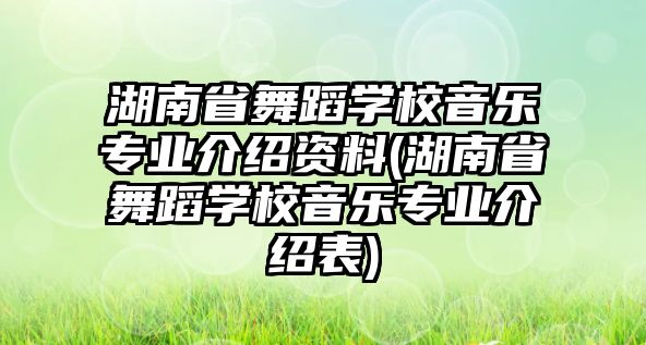 湖南省舞蹈學校音樂專業介紹資料(湖南省舞蹈學校音樂專業介紹表)