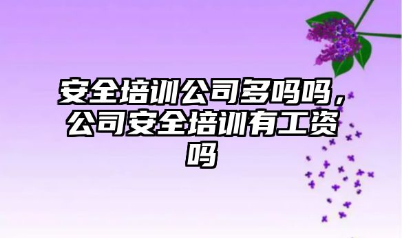 安全培訓公司多嗎嗎，公司安全培訓有工資嗎